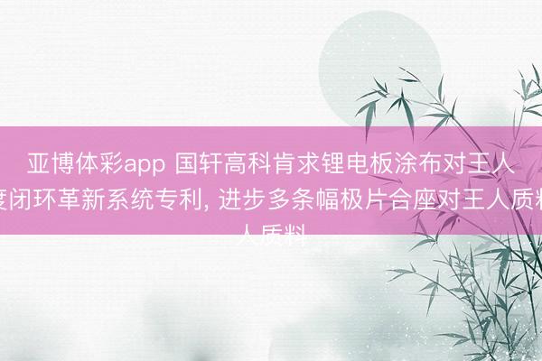 亚博体彩app 国轩高科肯求锂电板涂布对王人度闭环革新系统专利， 进步多条幅极片合座对王人质料