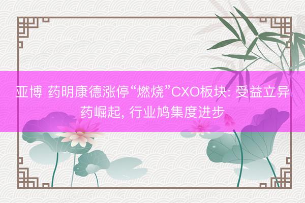 亚博 药明康德涨停“燃烧”CXO板块: 受益立异药崛起, 行业鸠集度进步